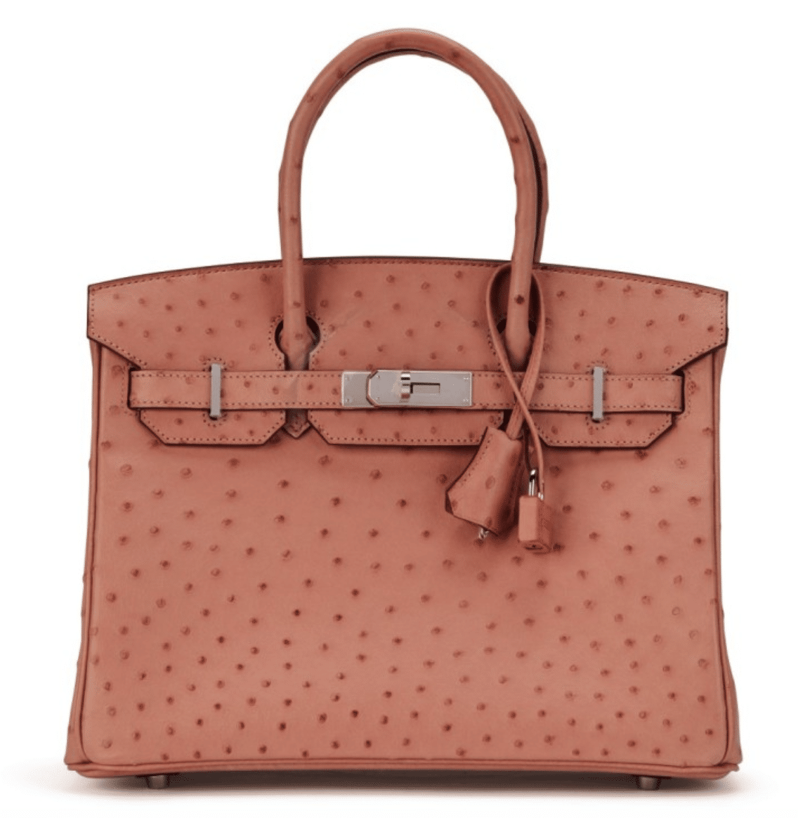 hermès birkin 25 price 2021