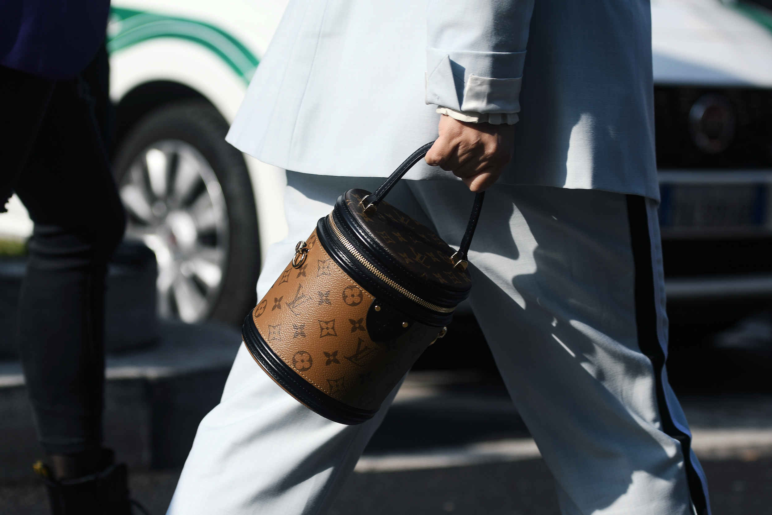 What are Louis Vuitton Leathers and How to Protect Them