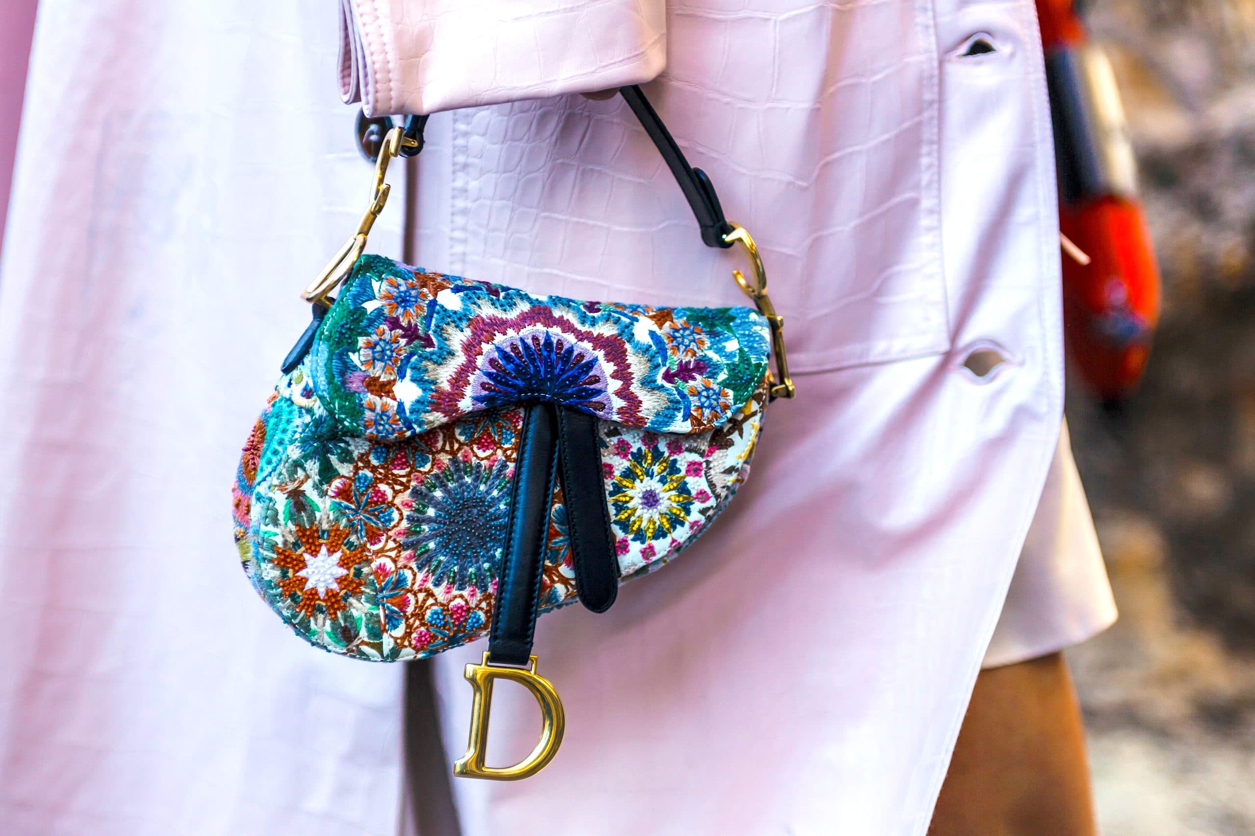 Read more about the article Buying Guide For The Dior Saddle Bag